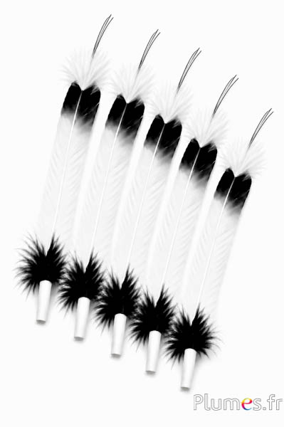 Gans - Indianerfeder - 30-35 cm - weiß-schwarz